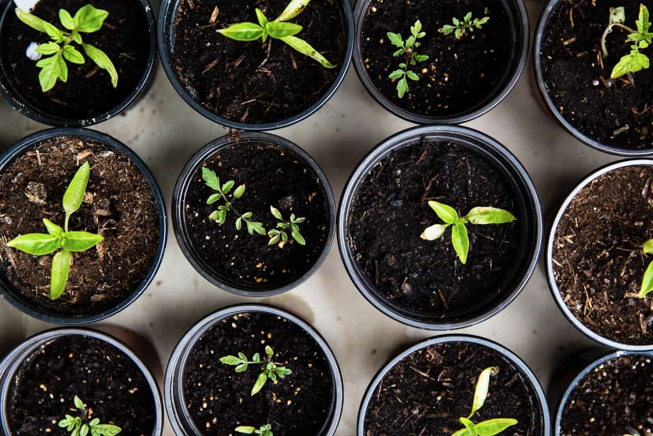 Seed Fundraising: Do It Fast Or Don't Do It At All