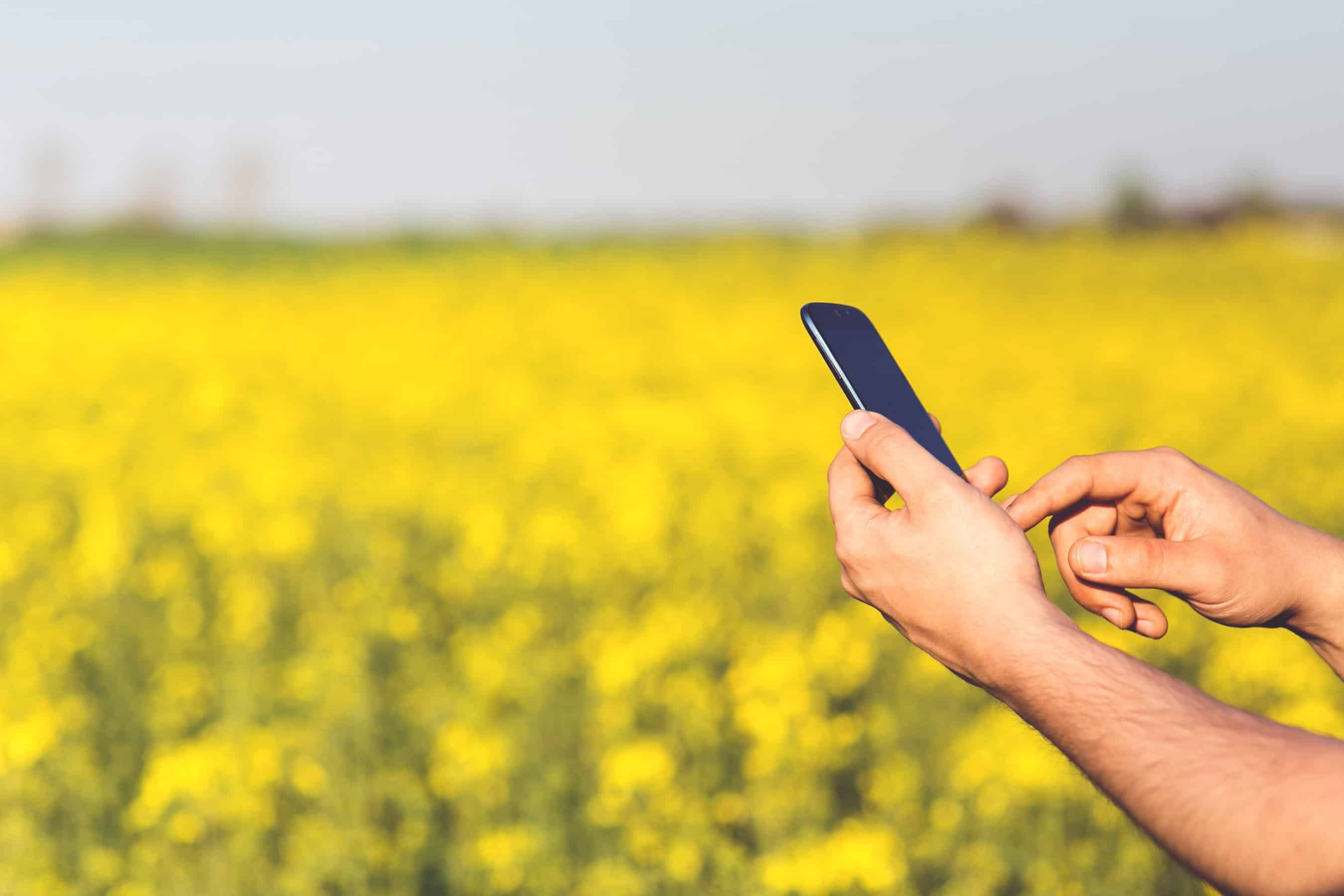 The Yield Lab Latam Announces Its 2nd Edition Accelerator Program For Agtech Ventures