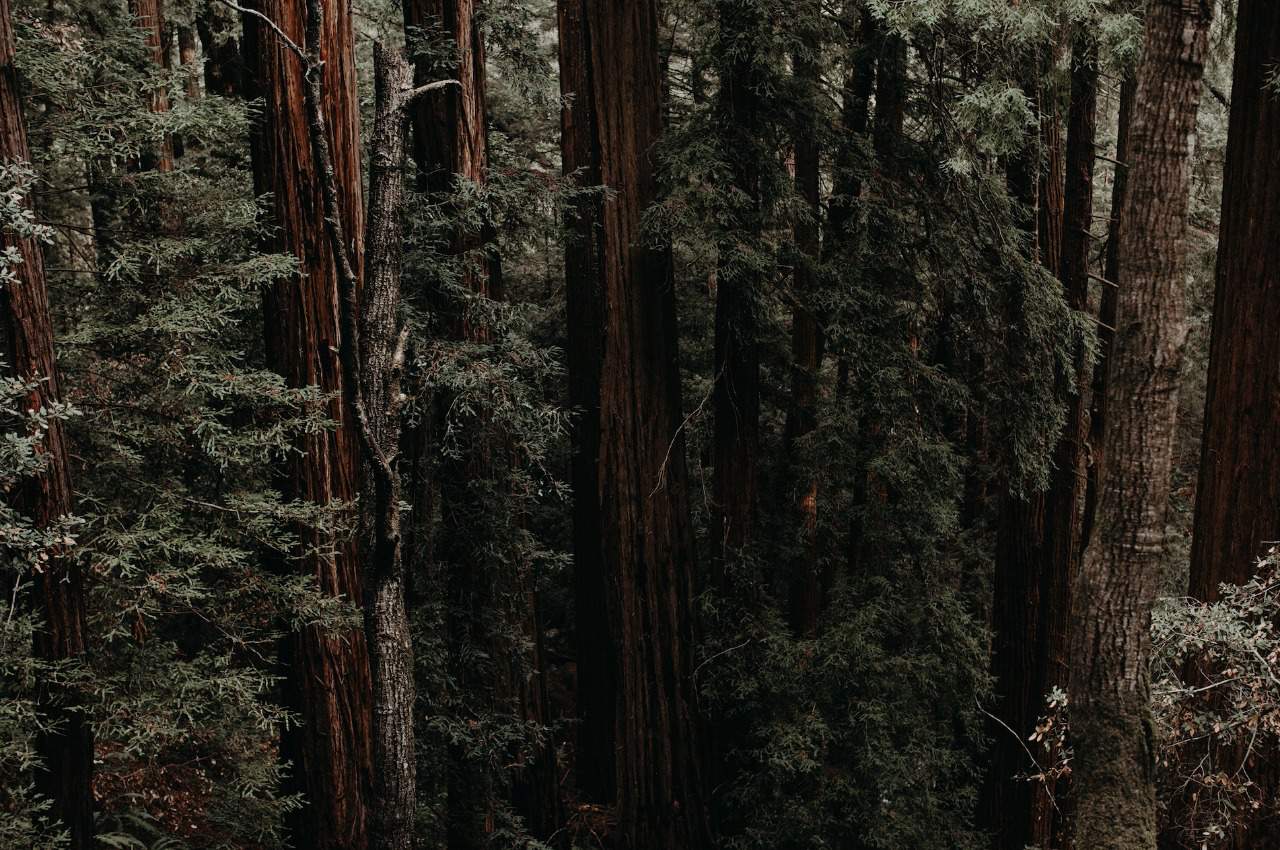 Conoce Al Capitalista De Riesgo Pionero De Jalisco: Ian Paul Otero De Redwood Ventures
