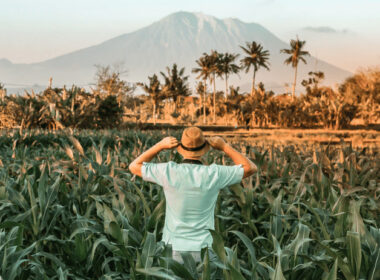 12 Brazilian Startups Revolutionizing The Agrotech Industry