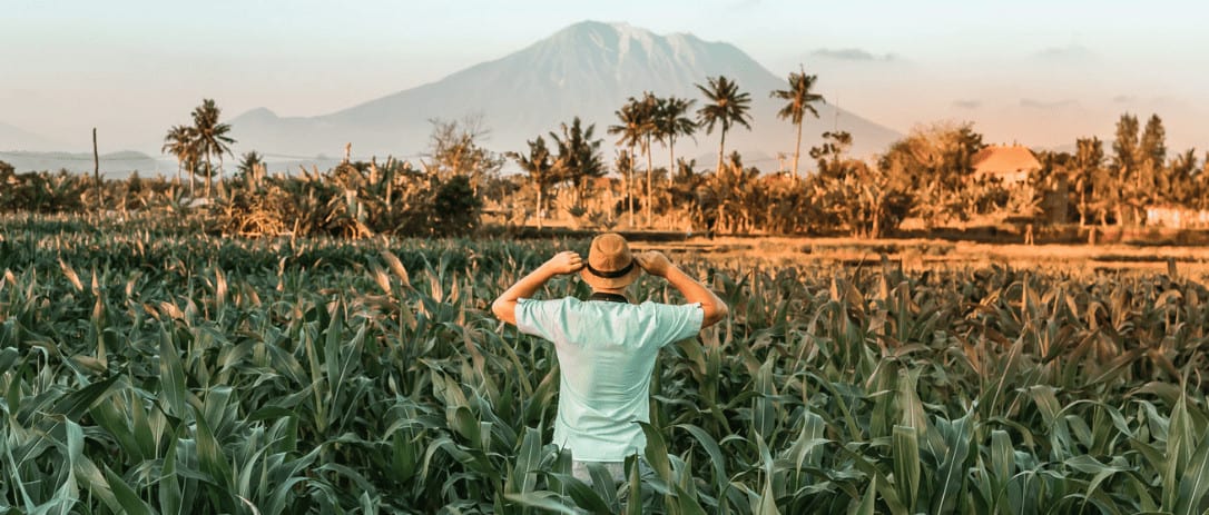 12 Brazilian Startups Revolutionizing The Agrotech Industry