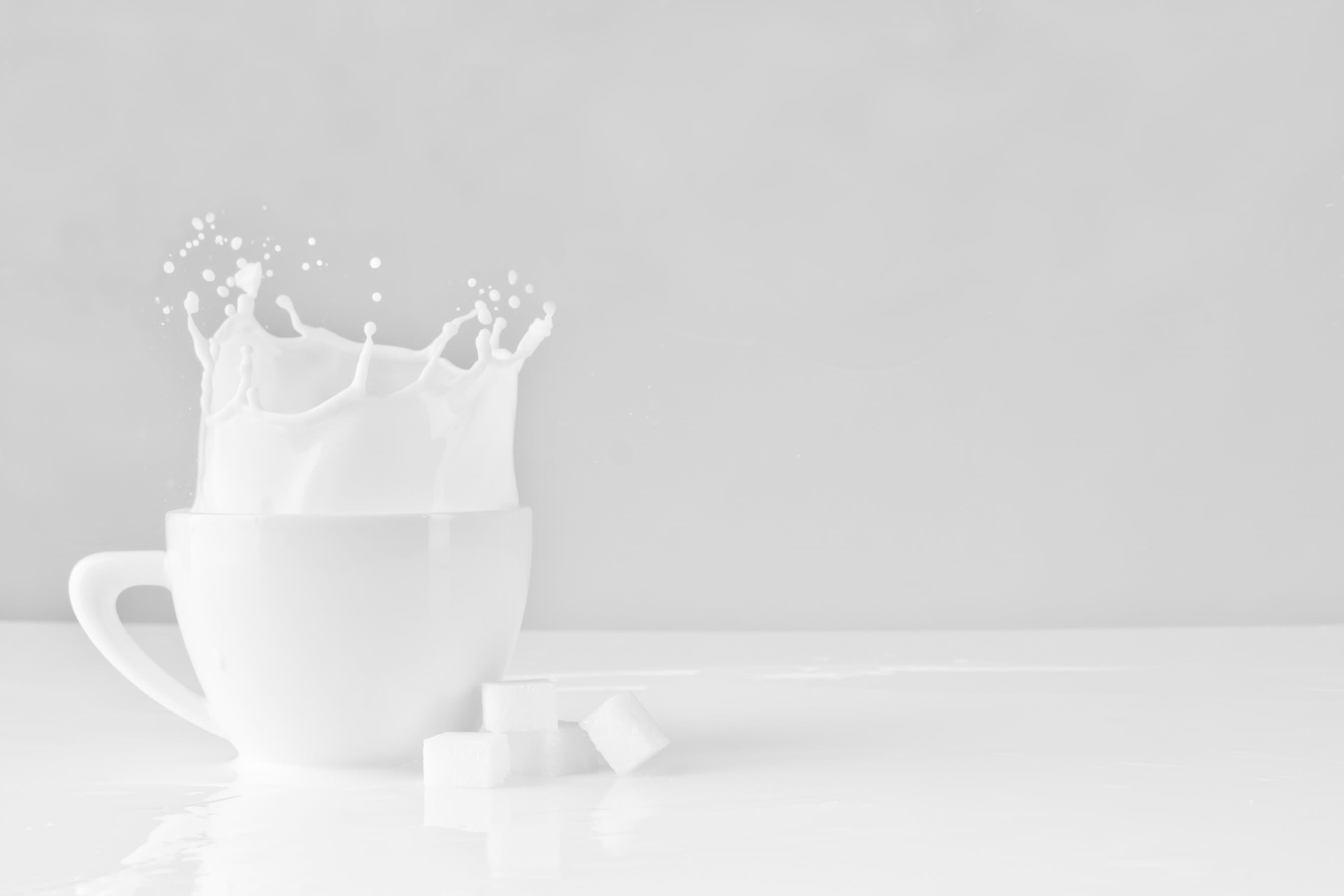 Notco, The Chilean Foodtech Startup, Partners With Grupo Pão De Açúcar In Brazil