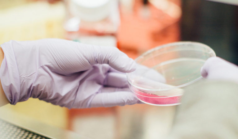 Daeki, The Chilean Startup Using Saliva To Diagnose Diabetes