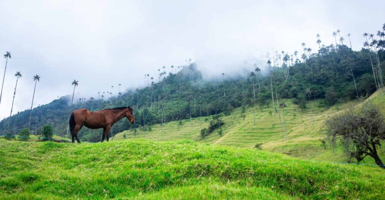 Hughes Network And Facebook Bring Wi-fi Hotspots To Rural Colombia