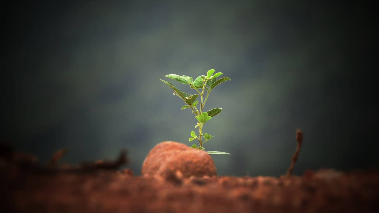 Pratian Secures Us$200,000 From U.s. Government To Expand Agrotech Solution