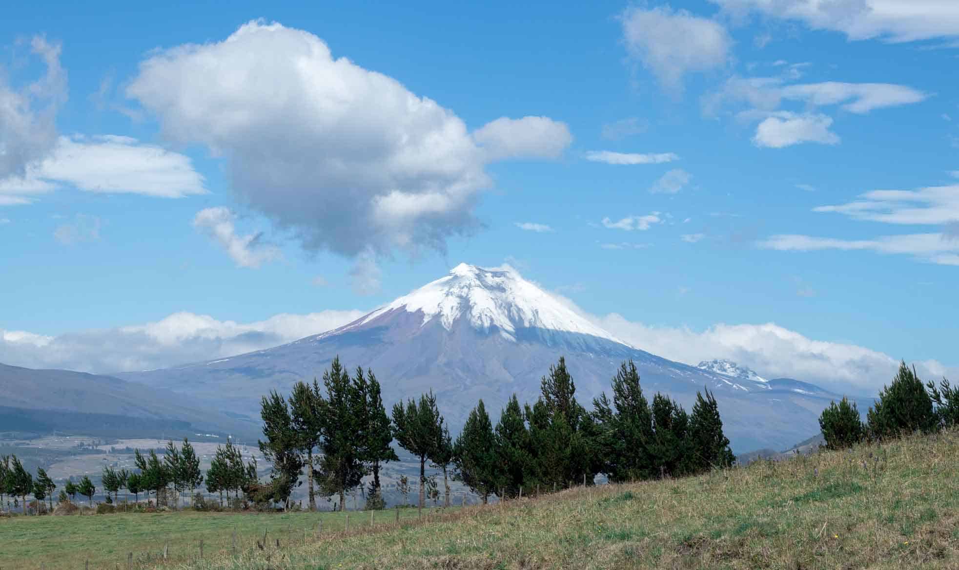 7 Startups Ecuatorianas Mejorando Las Operaciones Comerciales Con Tecnología De Ia