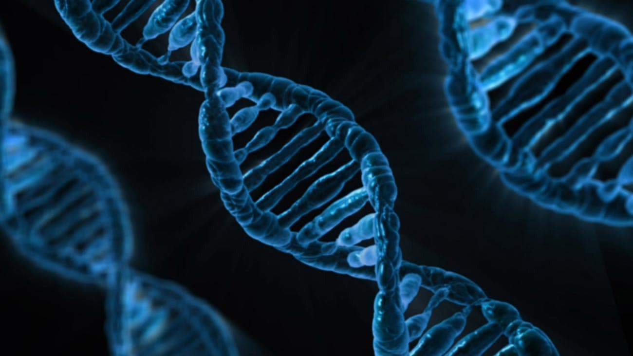 3 Latam Biotechs Ganeshalab Will Soft-land In The United States