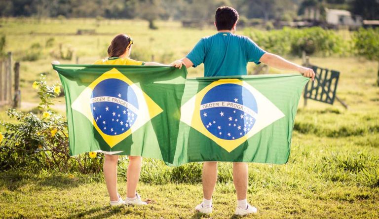 German Chemical Producer Basf Injects Us$4 Million Into Brazilian Agrotech Fund