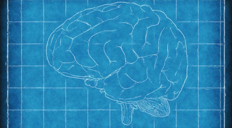 3 Soluciones Tecnológicas Innovadoras Diseñadas En México