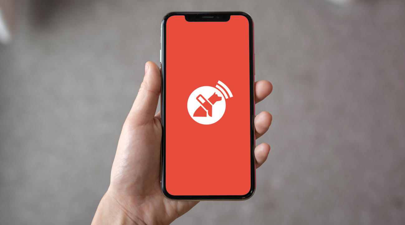 Startup Chilena, Lazarillo, Llega A Ee.uu. Con App Para Discapacitados Visuales