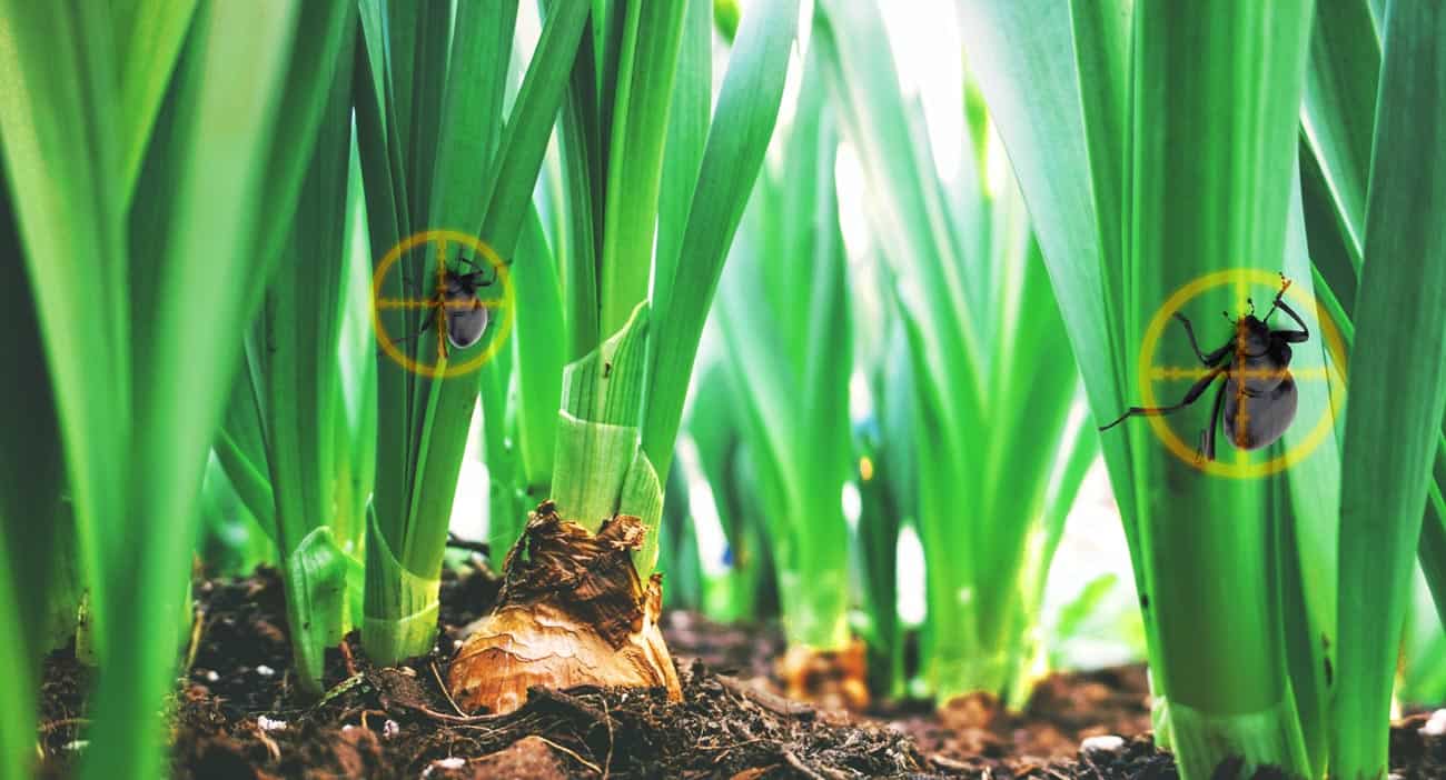 La Plataforma De Agropro Está Preparada (y Financiada) Para Combatir Las Plagas