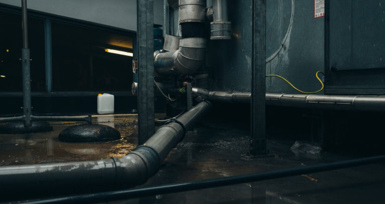 Industrial Iot Startup, Safi, Earned Its Stripes In Kenya To Land In Mexico