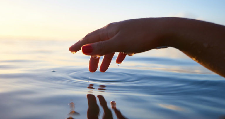 This Mexican Startup Is Helping Fish Farmers Feed Latin America