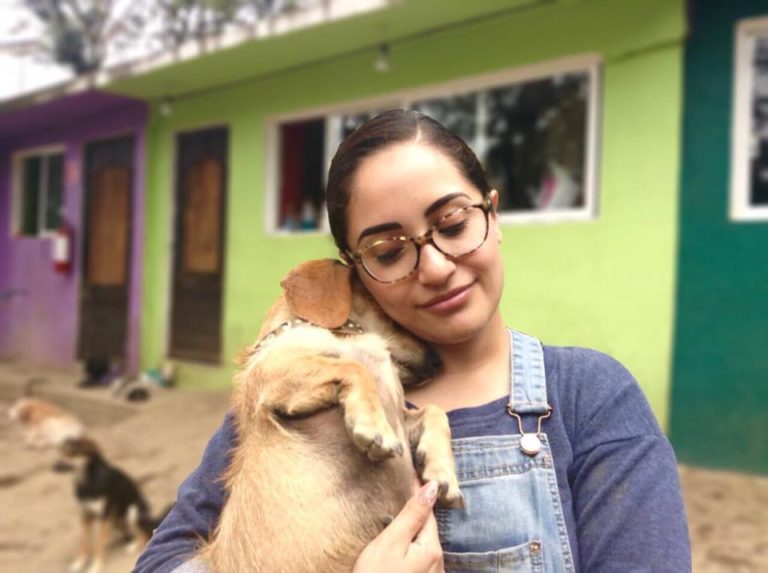 Help A Dog In Need By Ordering Food Delivery