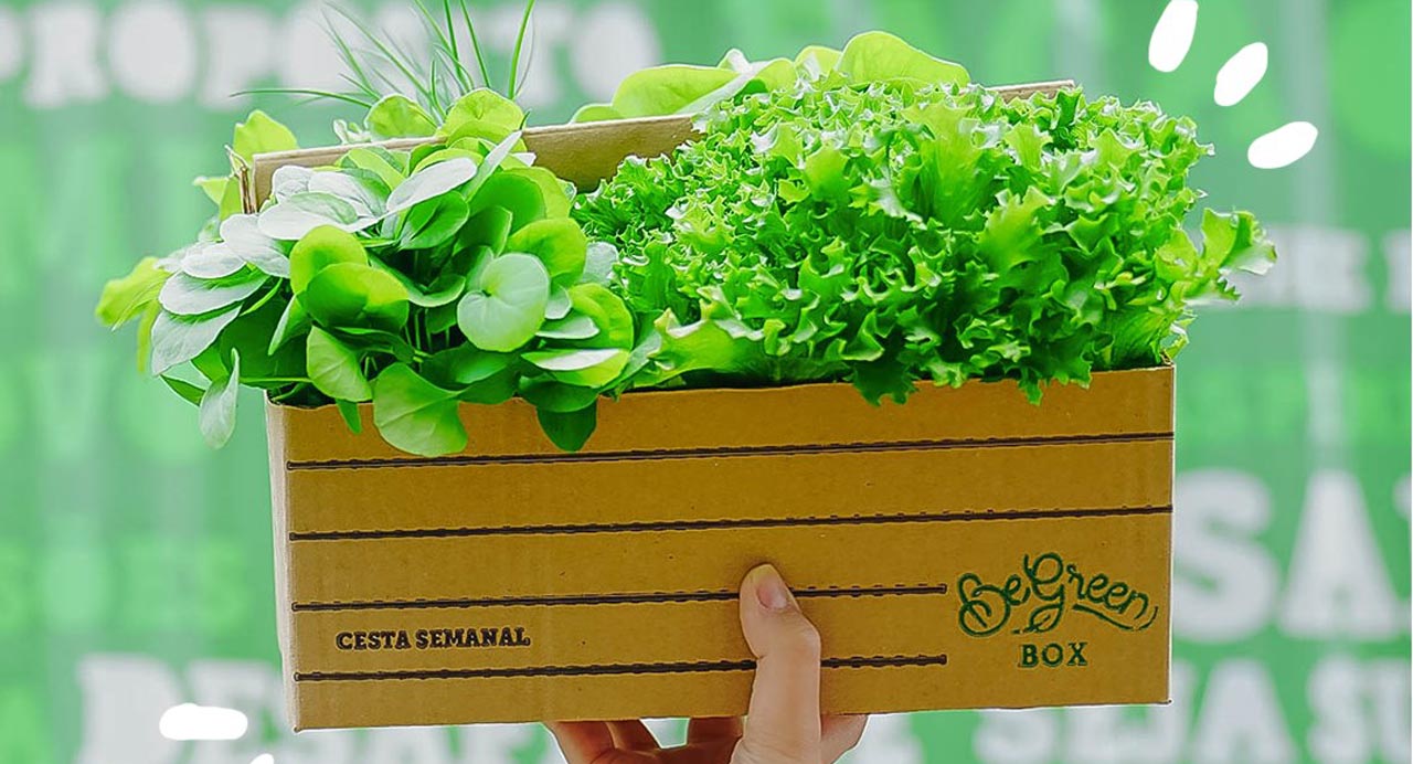 Begreen Levanta Us$3 Millones Para Abrir Más Granjas Agrícolas En Brasil