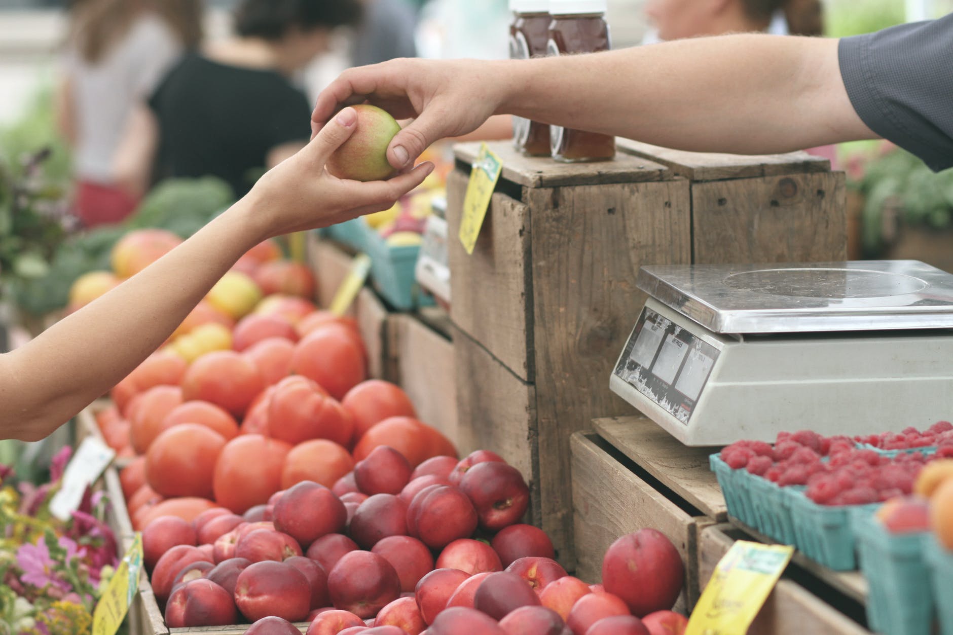 Plataforma De Comercio Social Favo Levanta $26,5 Mdd
