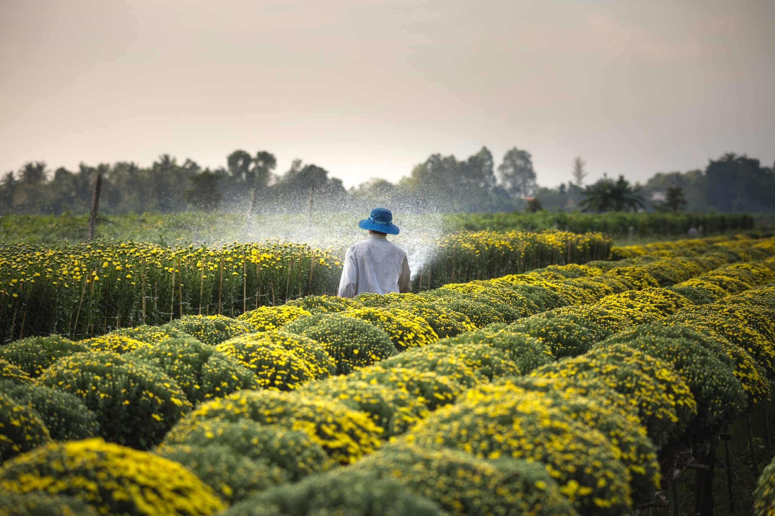 Agroforte, Que Ofrece Crédito A Pequeños Productores Rurales, Levanta $1,13 Mdd