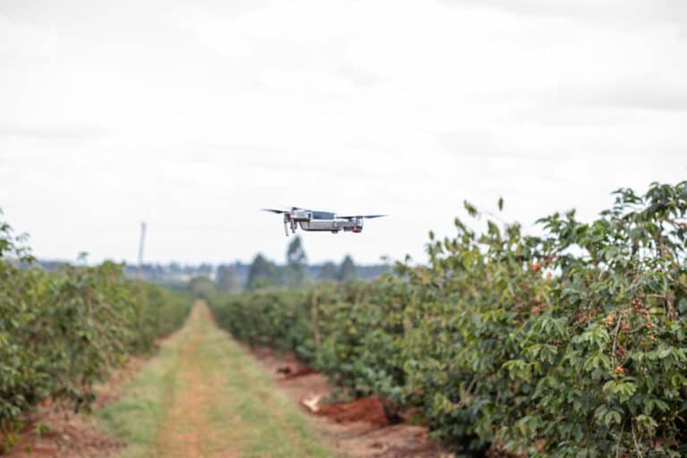 SiloReal argentina startup agtech