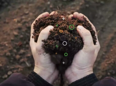 Solena The yield Lab Latam