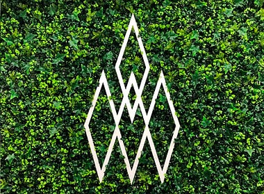 Votum World, startup based in Murcia, is making a mark in the cannabidiol (CBD) market through the implementation of innovative processes.